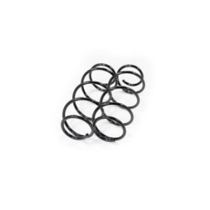 Front Coil Spring Kit FEBEST 2808-004F-KIT OE Ref 46751135