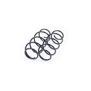 Front Coil Spring Kit FEBEST 2808-005F-KIT OE Ref 46751136