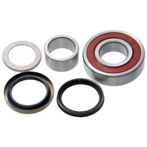 Repair Kit, Ball Bearing Rear Axle Shaft FEBEST AS-327219KIT OE Ref 43215-G8100