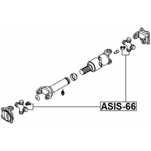 asis-66-3.jpg
