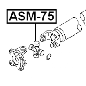 asm-75-3.jpg
