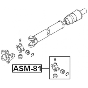 asm-81-3.jpg