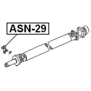asn-29-3.jpg