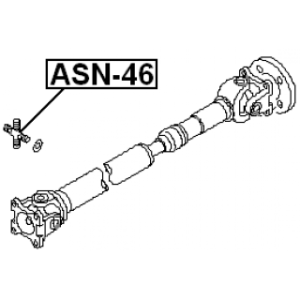asn-46-3.jpg