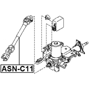 asn-c11-3.jpg