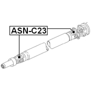 asn-c23-3.jpg