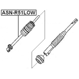 asn-r51low-3.jpg