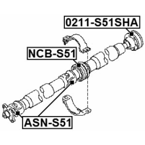 asn-s51-3.jpg