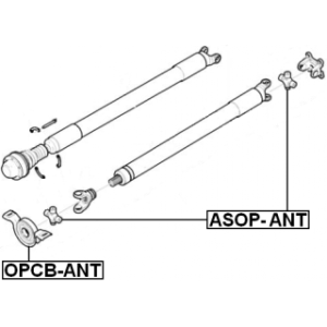asop-ant-3.jpg