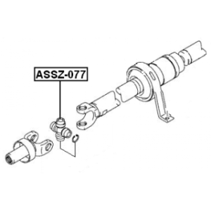 assz-077-3.jpg