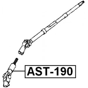 ast-190-3.jpg
