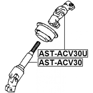 ast-acv30-3.jpg