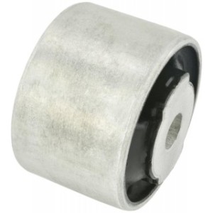 Rear Bushing Without Bracket, Front Control Arm FEBEST BZAB-117B OE Ref 2423300800