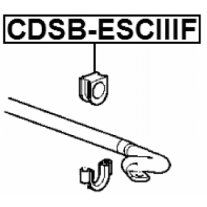 cdsb-esciiif-3.jpg