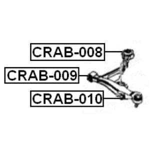 crab-010-3.jpg