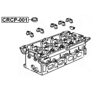 crcp-001-3.jpg