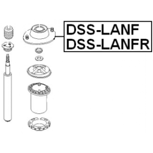 dss-lanf-3.jpg