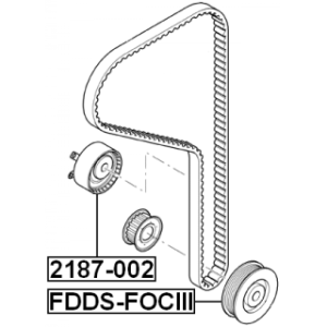 fdds-fociii-3.jpg
