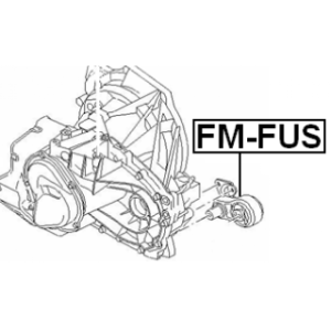 fm-fus-3.jpg