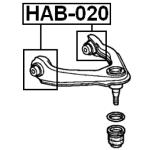 hab-020-3.jpg