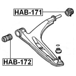 hab-171-3.jpg