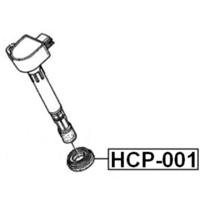 hcp-001-3.jpg
