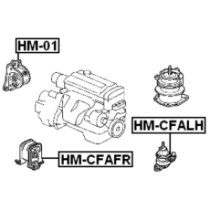 hm-cfafr-3.jpg