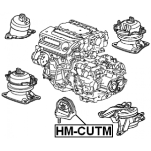 hm-cutm-3.jpg