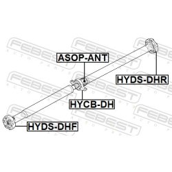 hyds-dhr-2.jpg