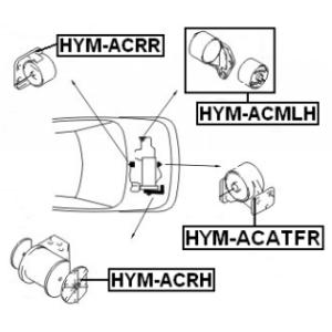 hym-acatfr-3.jpg