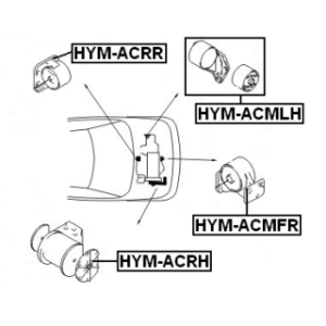 hym-acmfr-3.jpg