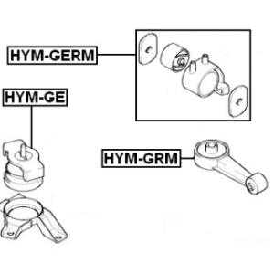 hym-germ-3.jpg