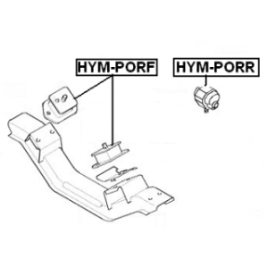 hym-porr-3.jpg