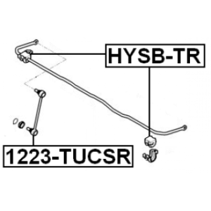 hysb-tr-3.jpg