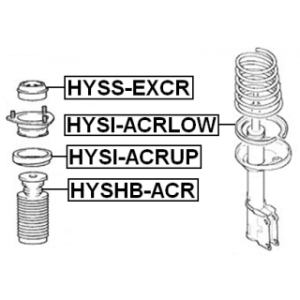 hyss-excr-3.jpg