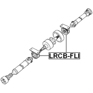 lrcb-fli-3.jpg