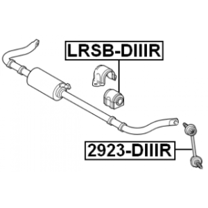 lrsb-diiir-3.jpg