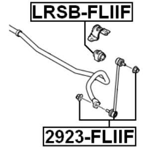 lrsb-fliif-3.jpg