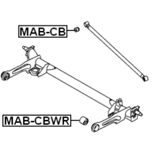 mab-cbwr-3.jpg