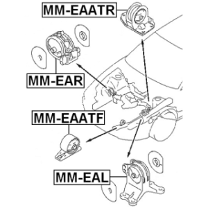 mm-ear-3.jpg