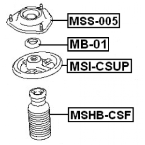 mshb-csf-3.jpg