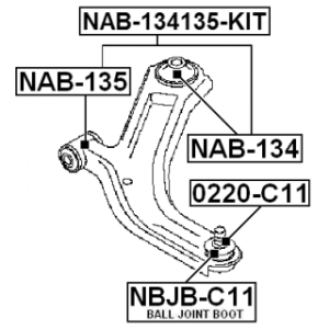 nab-134-3.jpg