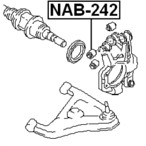 nab-242-3.jpg