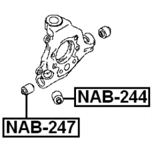 nab-247-3.jpg