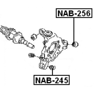 nab-256-3.jpg