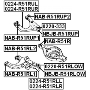 nab-r51rup2-3.jpg