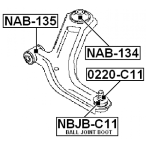 nbjb-c11-3.jpg