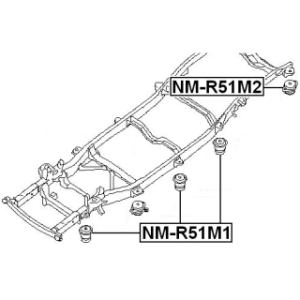 nm-r51m2-3.jpg