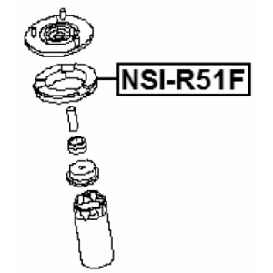 nsi-r51f-3.jpg