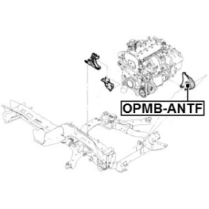opmb-antf-3.jpg